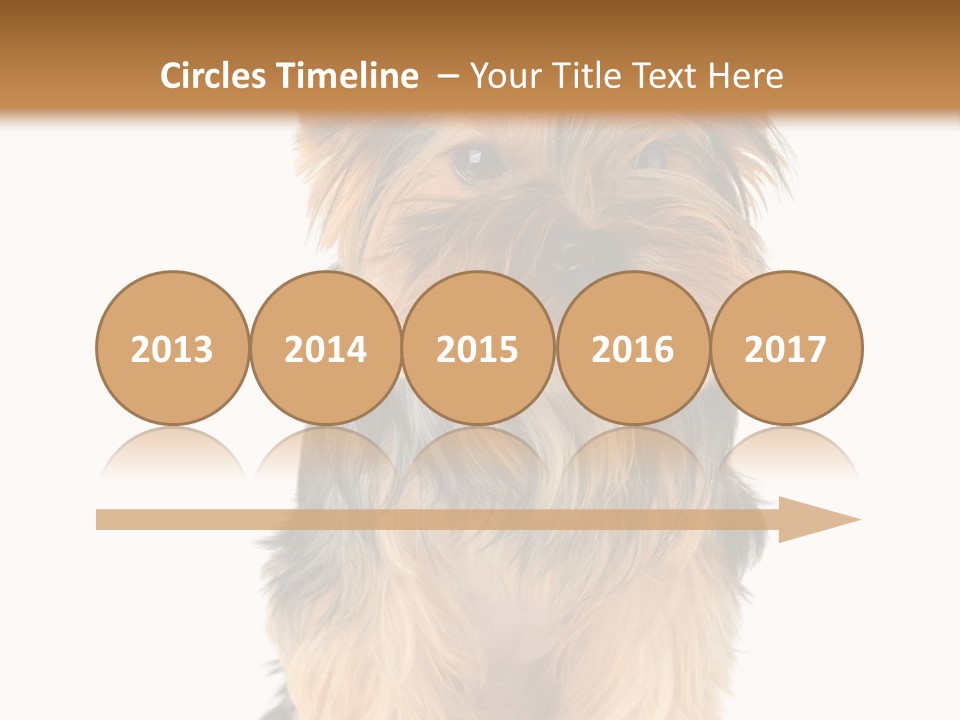 Canine Grooming Mini PowerPoint Template