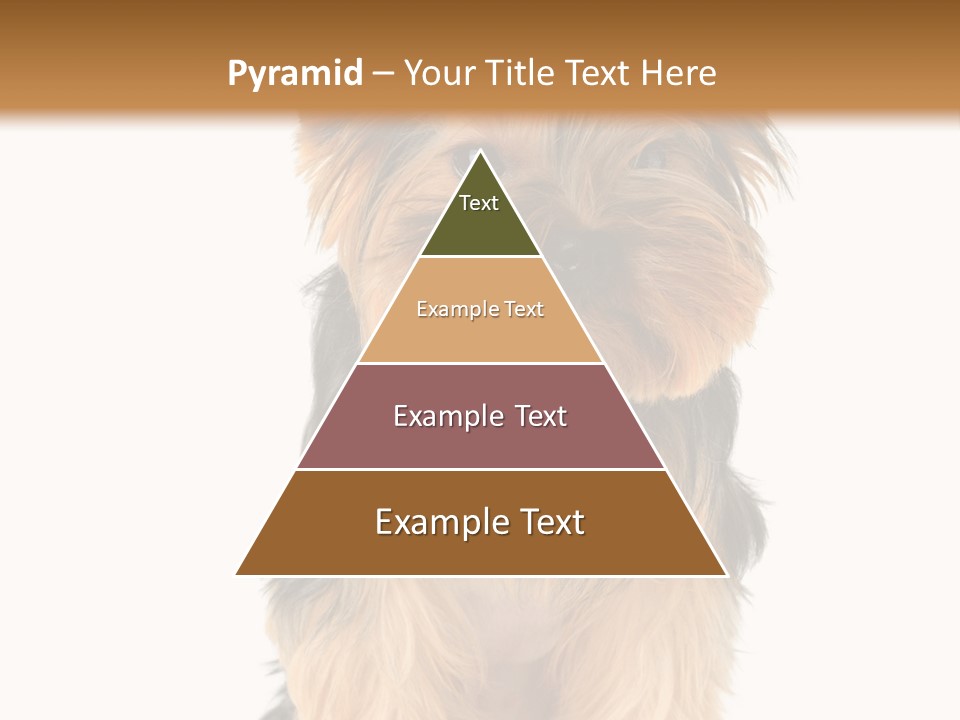 Canine Grooming Mini PowerPoint Template