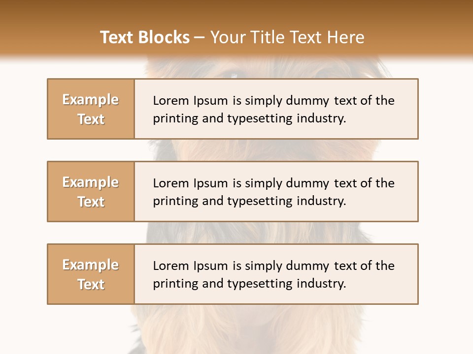 Canine Grooming Mini PowerPoint Template