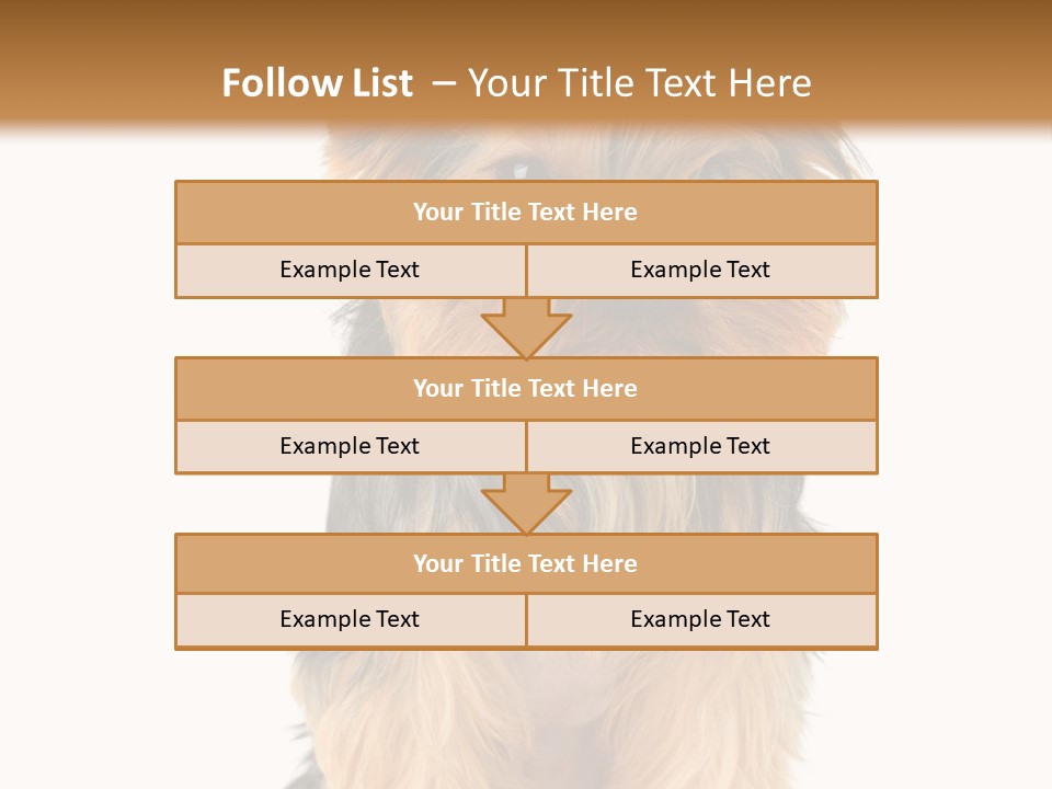 Canine Grooming Mini PowerPoint Template