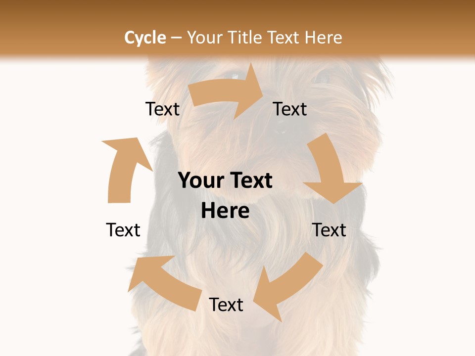Canine Grooming Mini PowerPoint Template