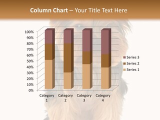 Canine Grooming Mini PowerPoint Template