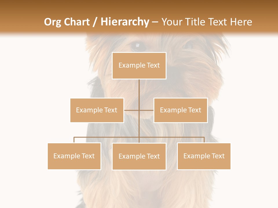 Canine Grooming Mini PowerPoint Template