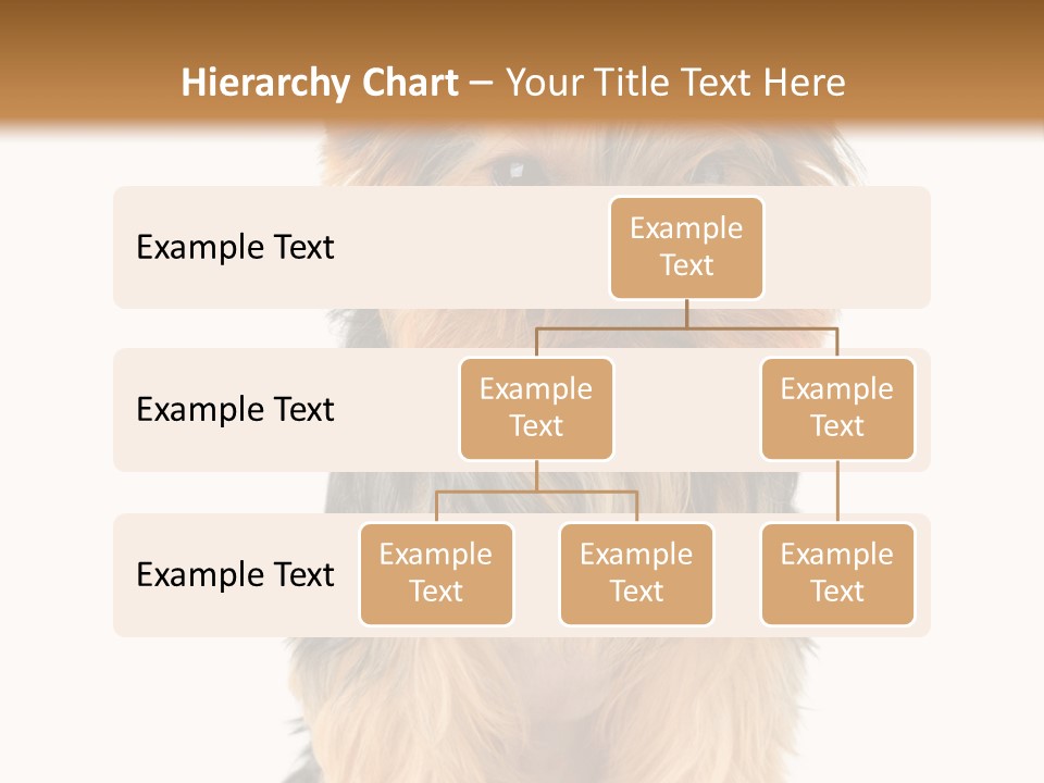 Canine Grooming Mini PowerPoint Template