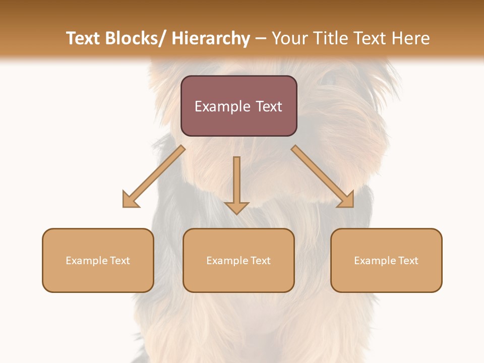 Canine Grooming Mini PowerPoint Template