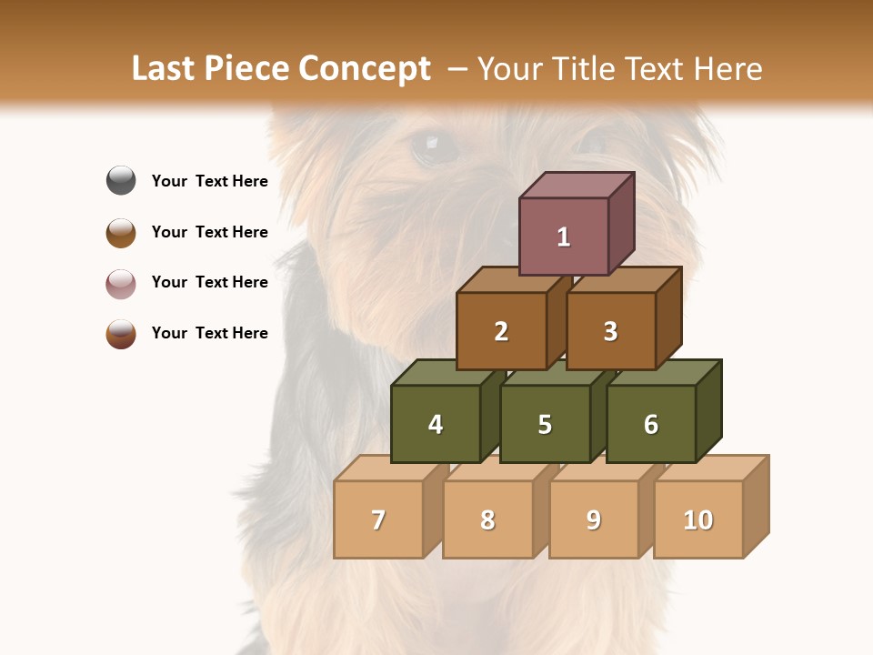 Canine Grooming Mini PowerPoint Template