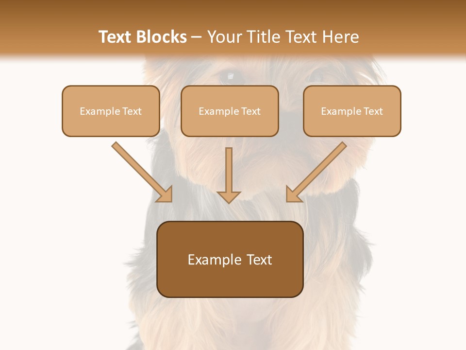 Canine Grooming Mini PowerPoint Template