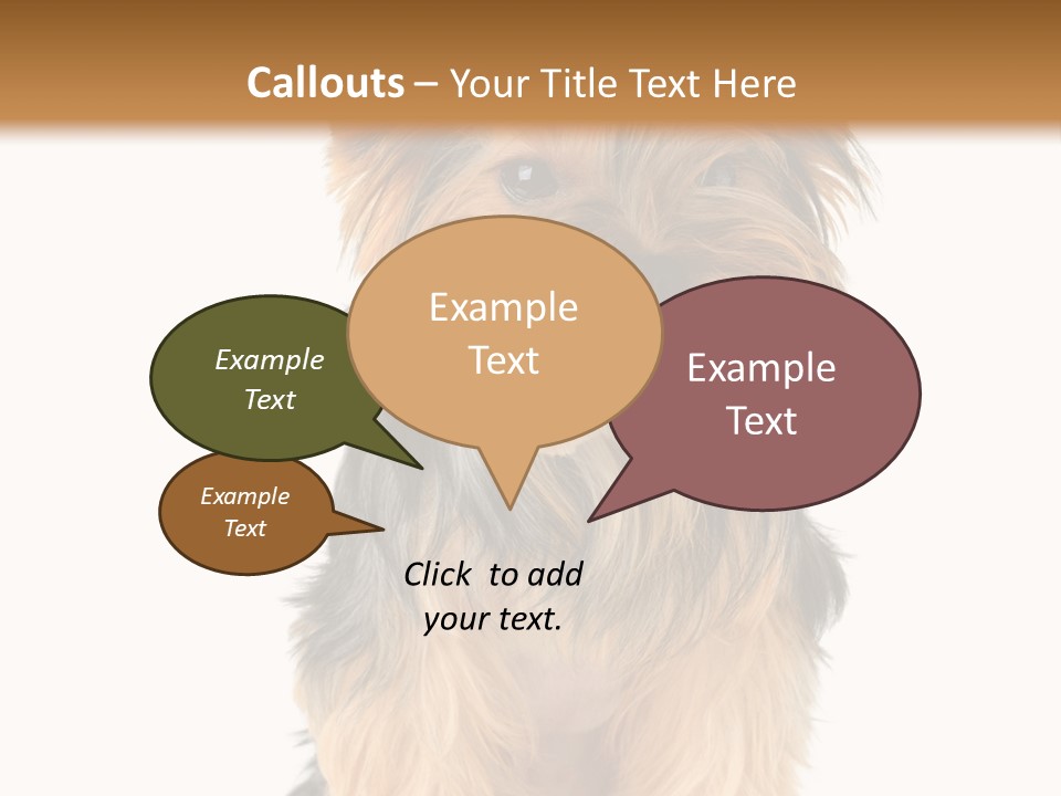 Canine Grooming Mini PowerPoint Template