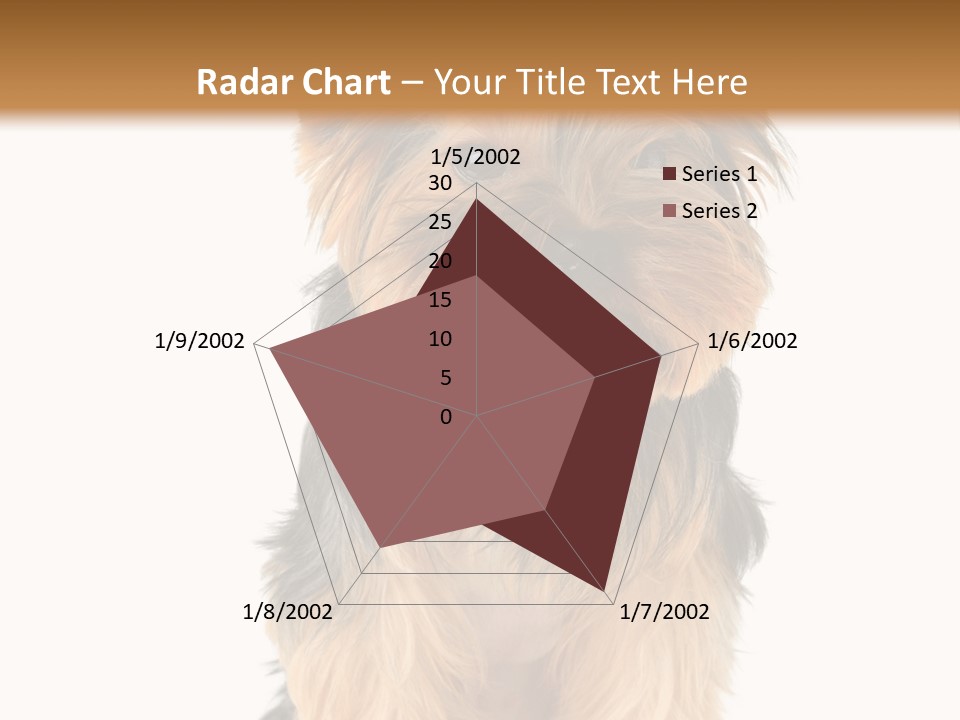 Canine Grooming Mini PowerPoint Template