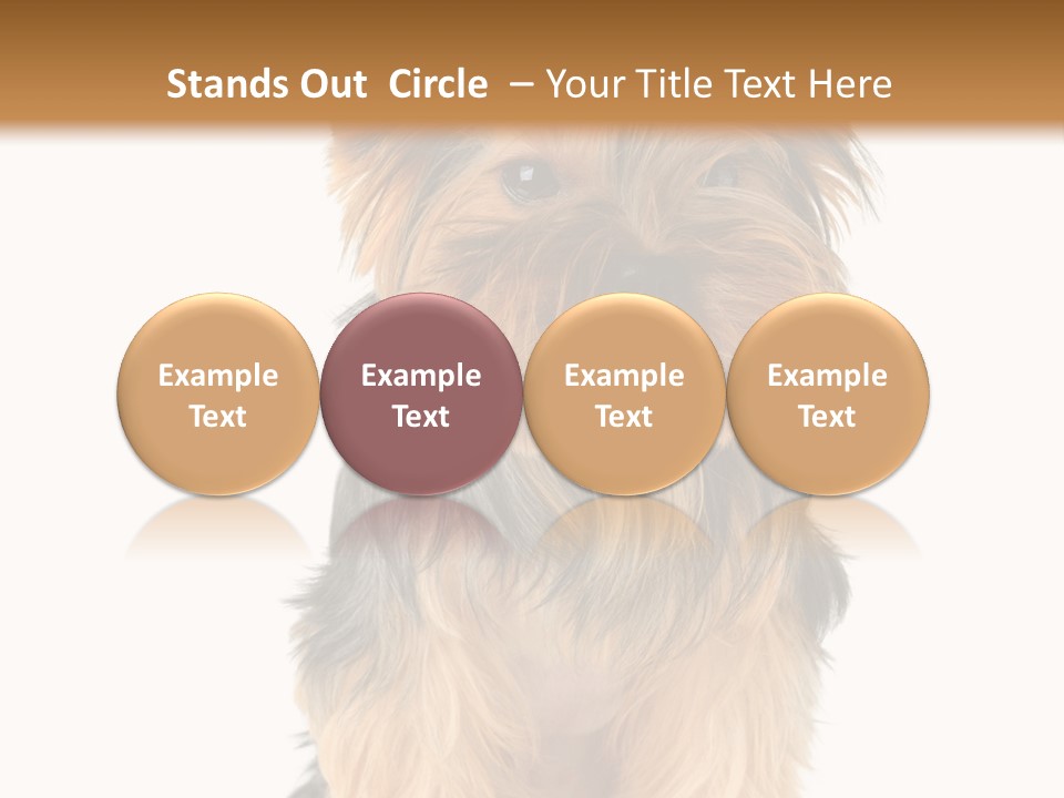 Canine Grooming Mini PowerPoint Template