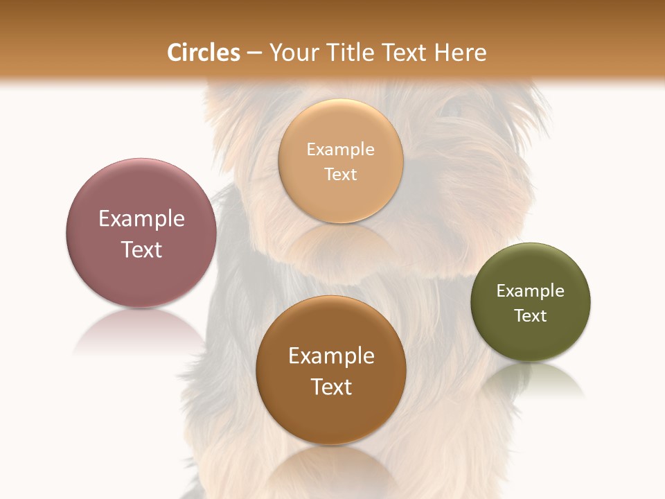 Canine Grooming Mini PowerPoint Template