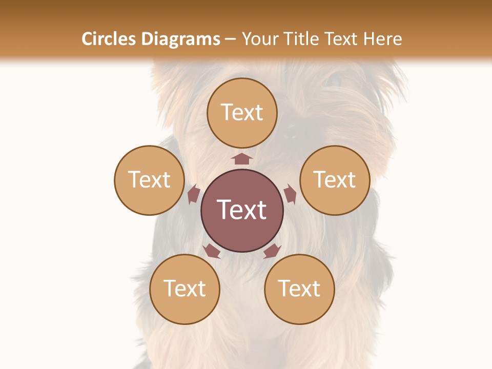Canine Grooming Mini PowerPoint Template