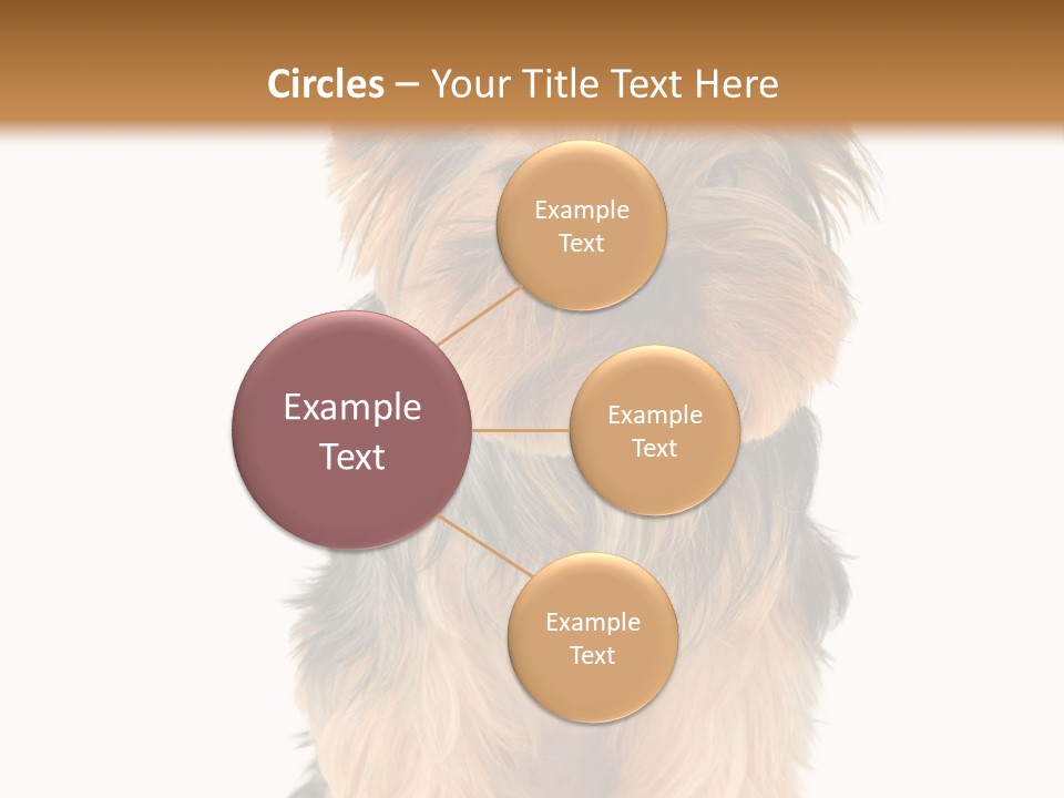 Canine Grooming Mini PowerPoint Template