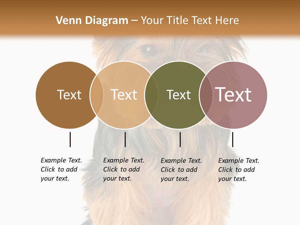 Canine Grooming Mini PowerPoint Template