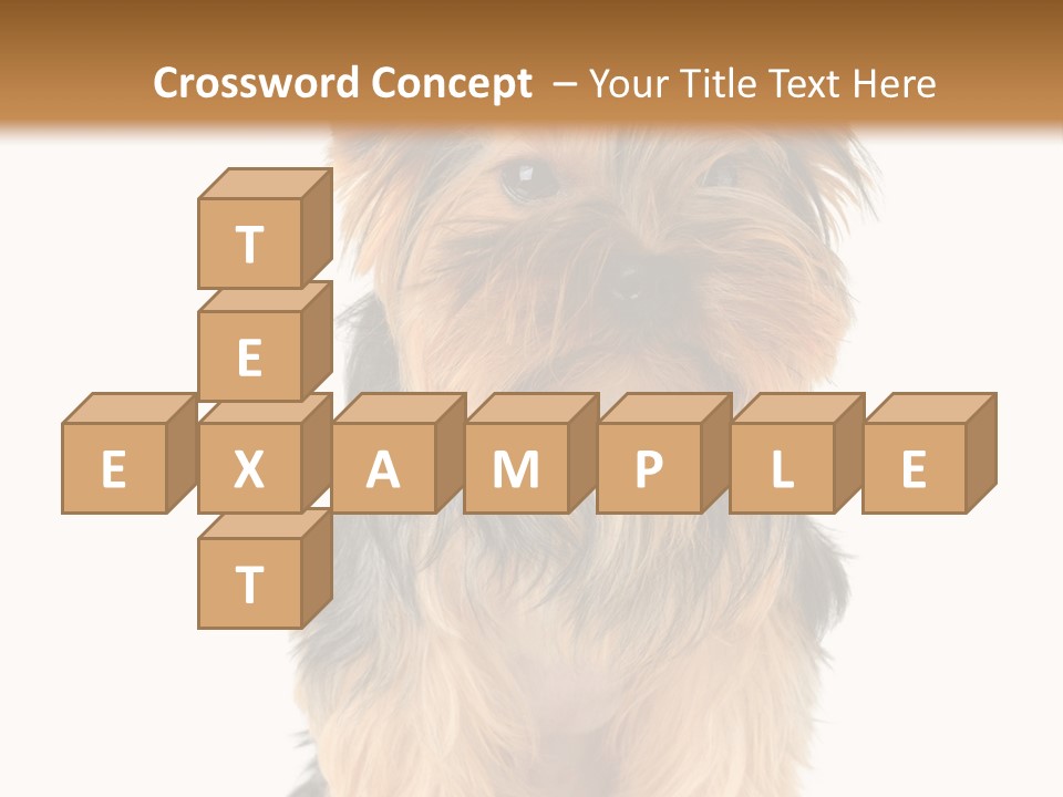 Canine Grooming Mini PowerPoint Template