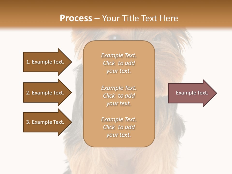 Canine Grooming Mini PowerPoint Template