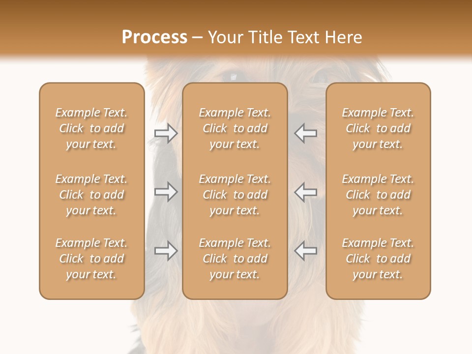 Canine Grooming Mini PowerPoint Template