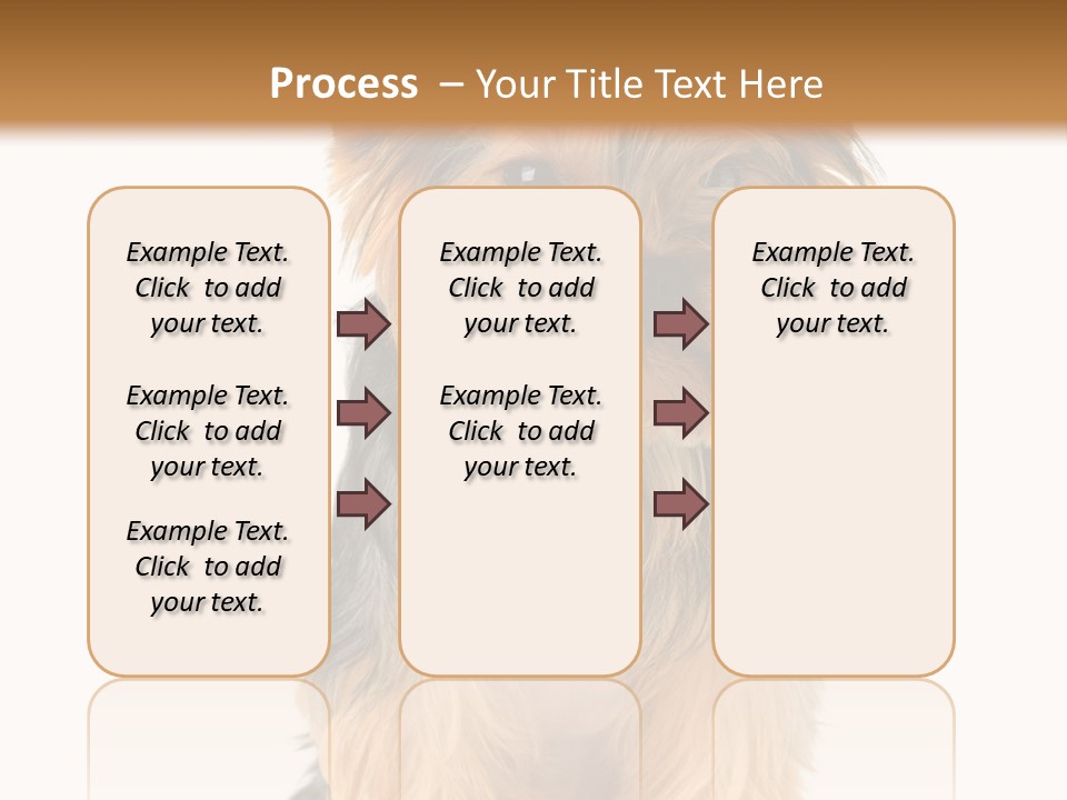 Canine Grooming Mini PowerPoint Template