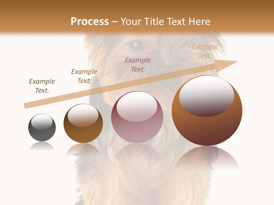 Canine Grooming Mini PowerPoint Template