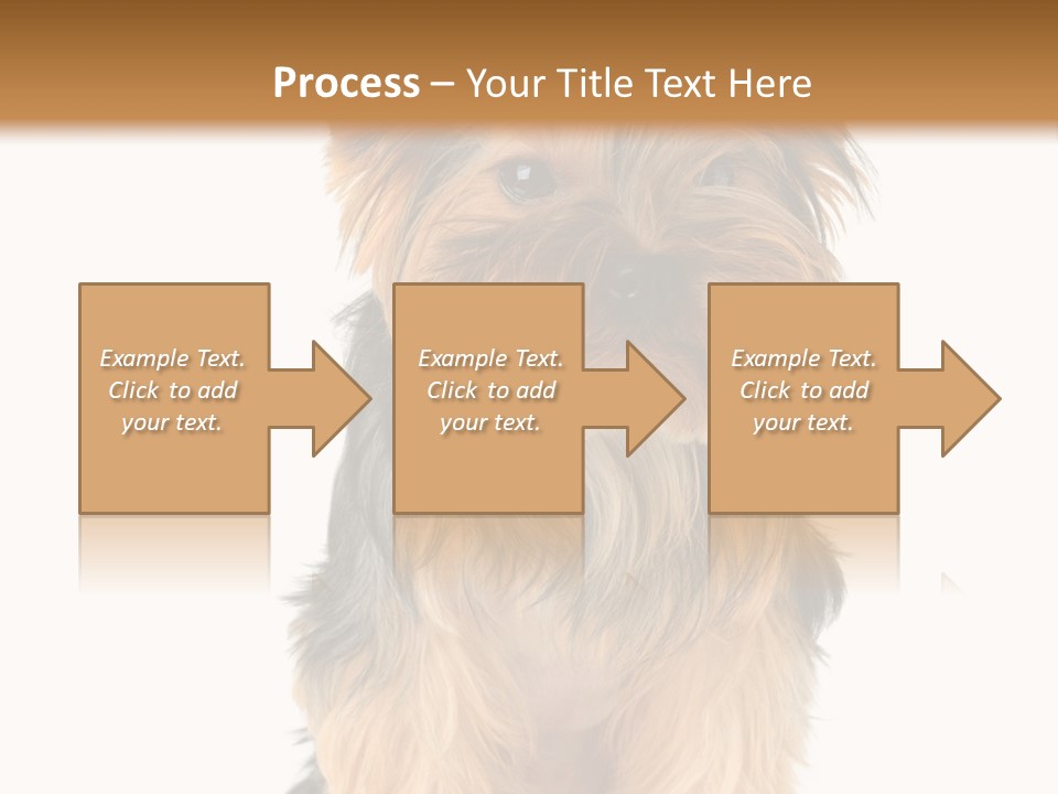 Canine Grooming Mini PowerPoint Template