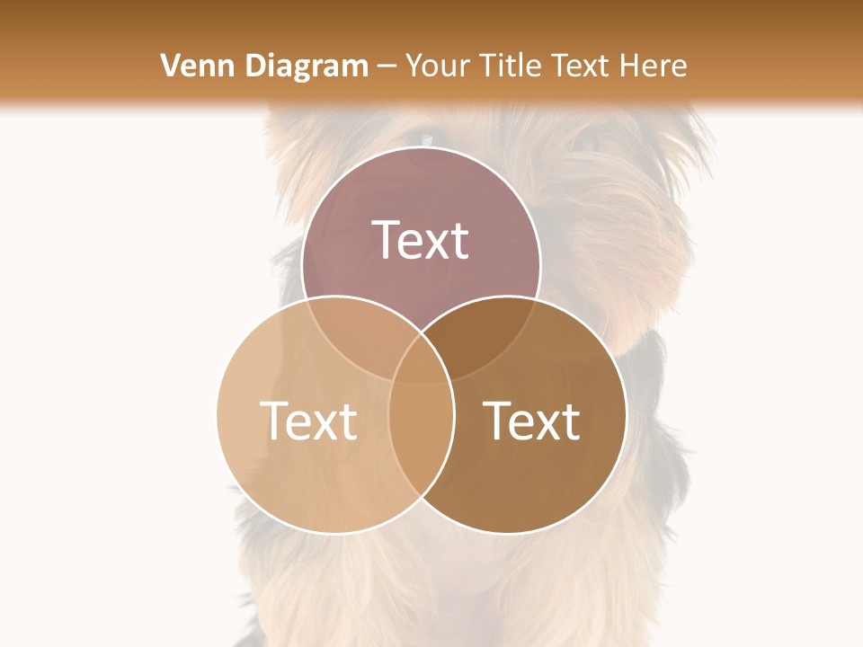 Canine Grooming Mini PowerPoint Template