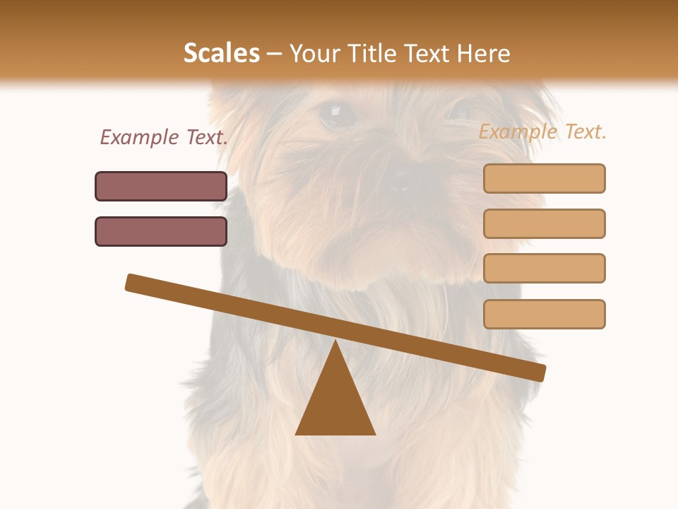 Canine Grooming Mini PowerPoint Template