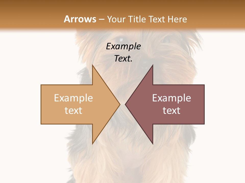 Canine Grooming Mini PowerPoint Template