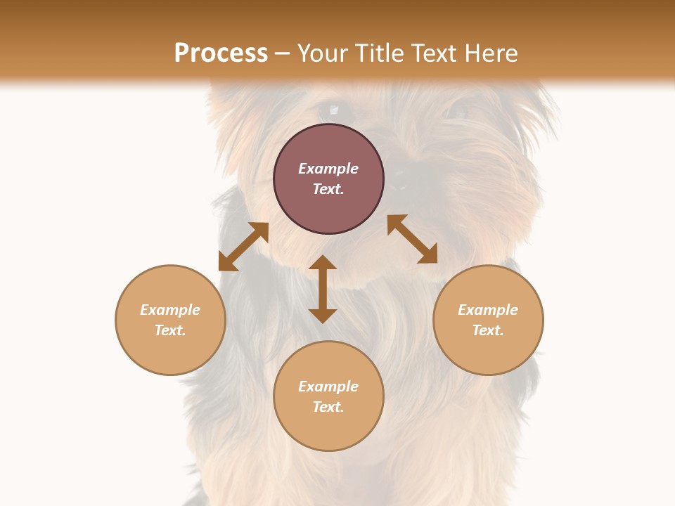 Canine Grooming Mini PowerPoint Template