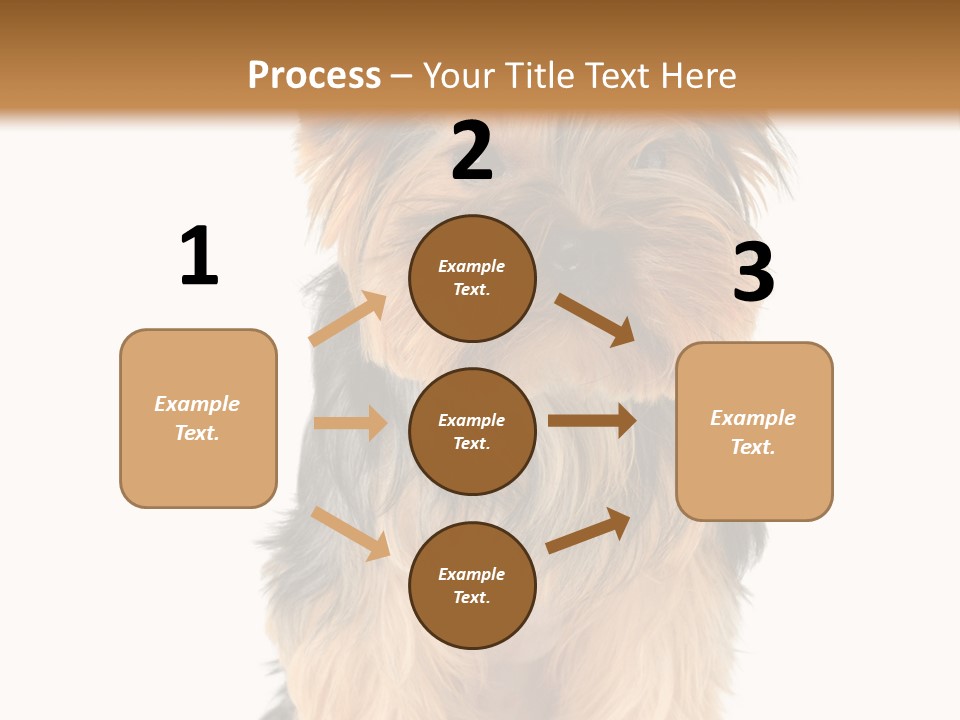 Canine Grooming Mini PowerPoint Template