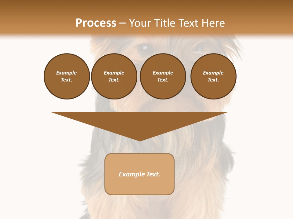 Canine Grooming Mini PowerPoint Template