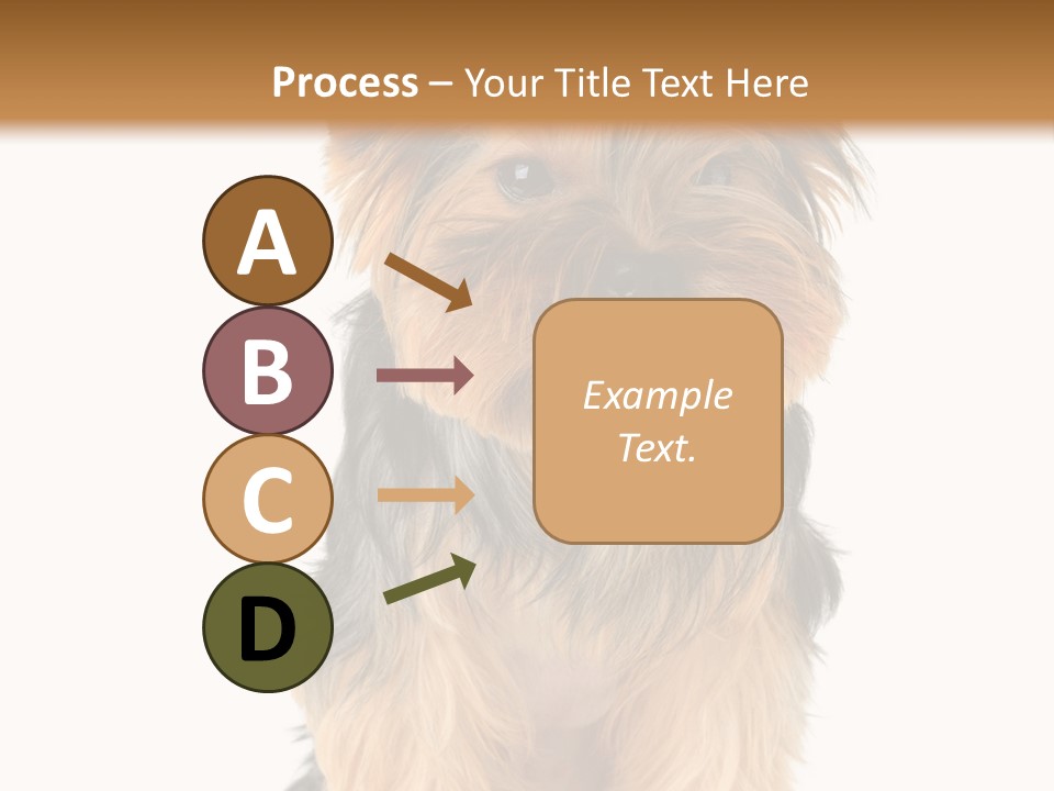 Canine Grooming Mini PowerPoint Template