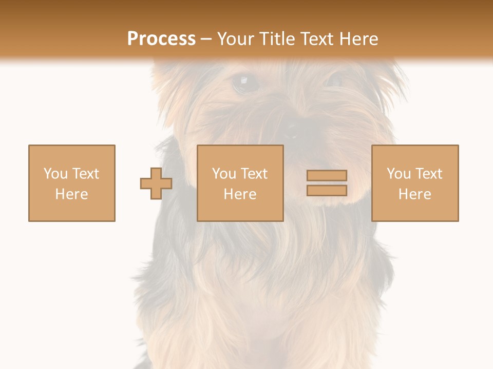 Canine Grooming Mini PowerPoint Template