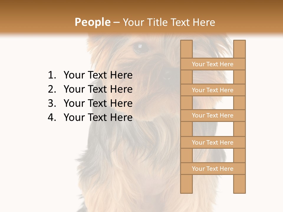 Canine Grooming Mini PowerPoint Template