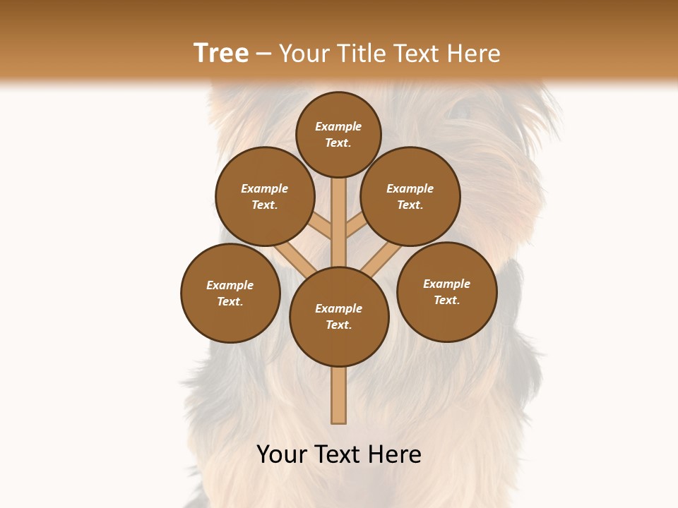 Canine Grooming Mini PowerPoint Template