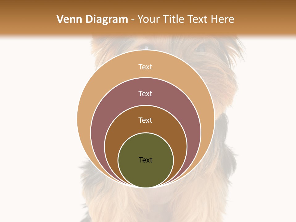 Canine Grooming Mini PowerPoint Template