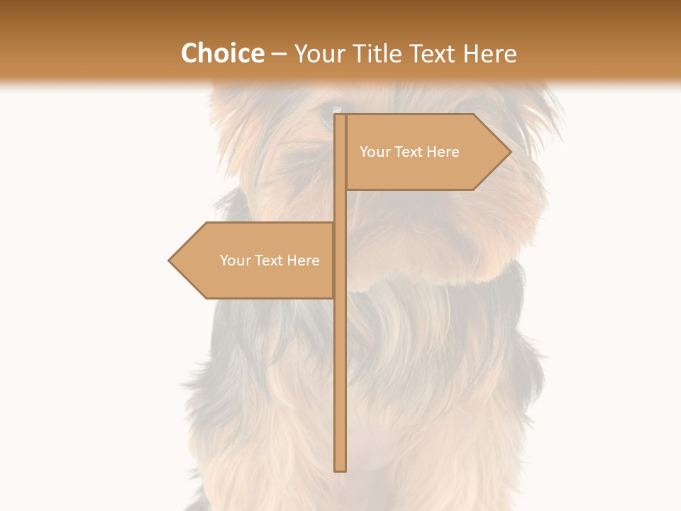 Canine Grooming Mini PowerPoint Template