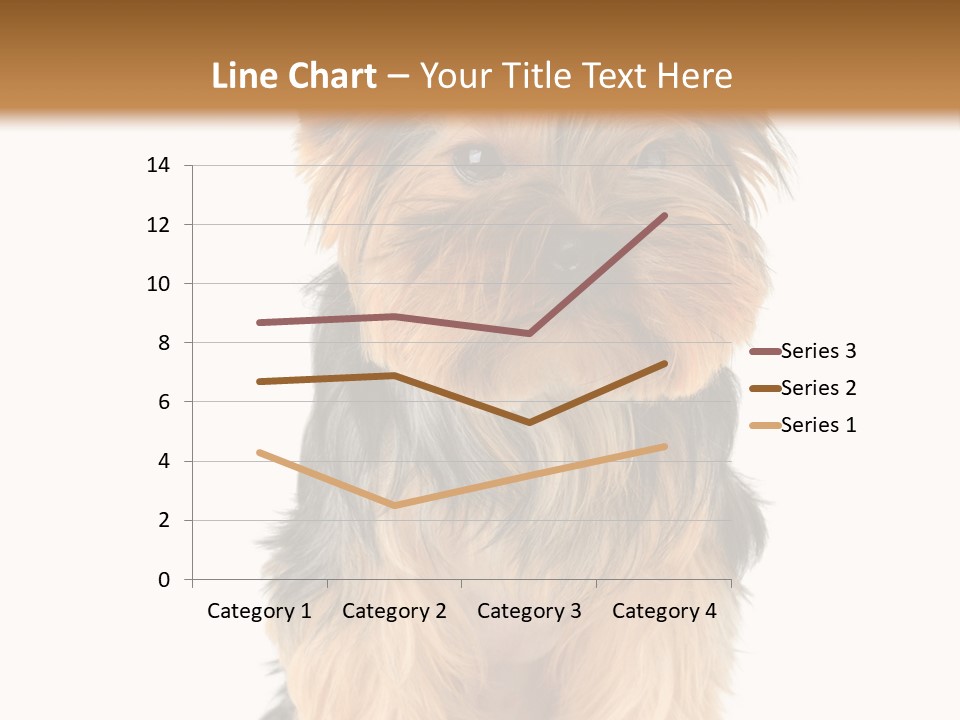 Canine Grooming Mini PowerPoint Template