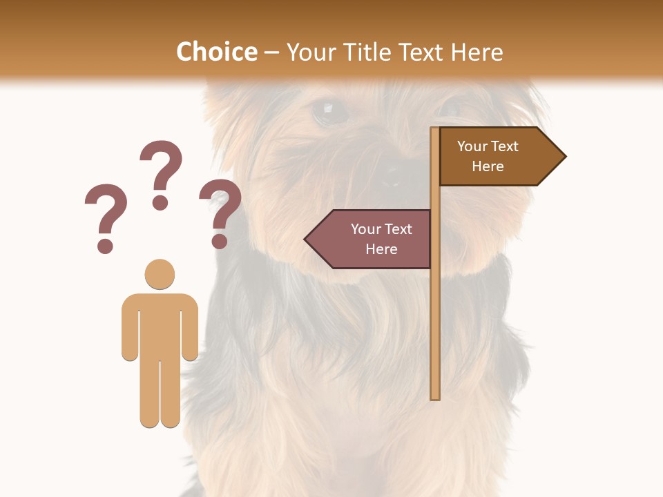 Canine Grooming Mini PowerPoint Template