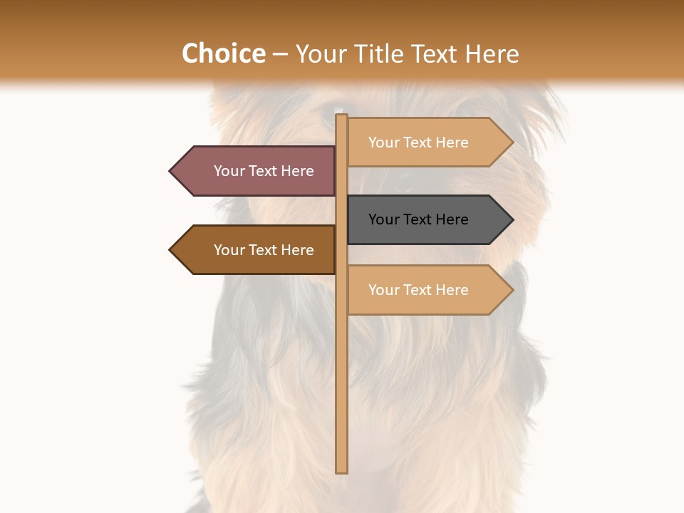 Canine Grooming Mini PowerPoint Template