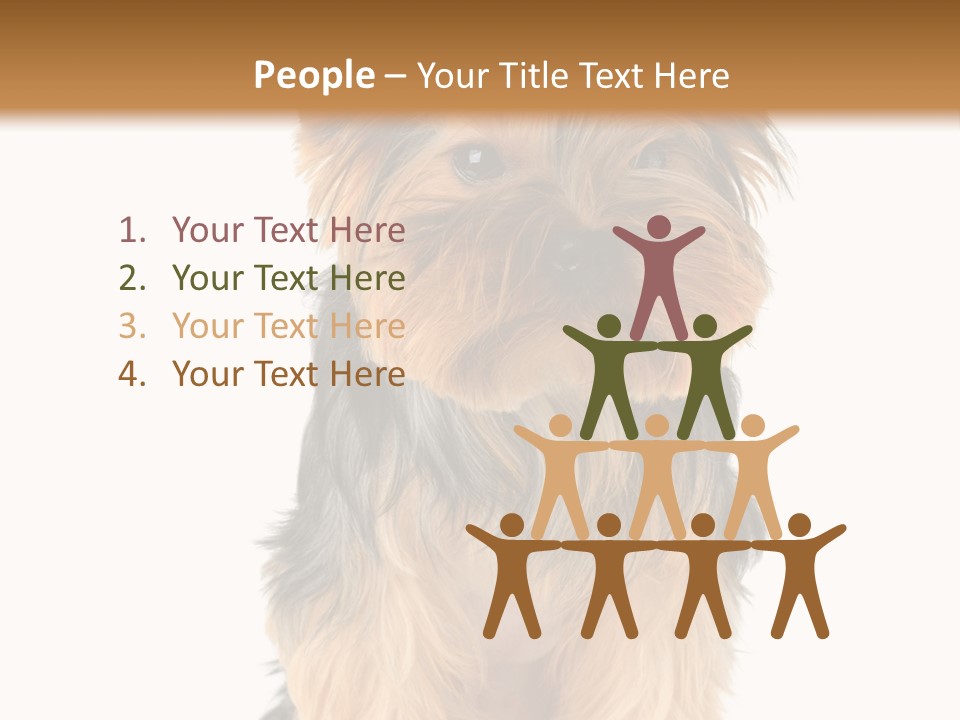 Canine Grooming Mini PowerPoint Template