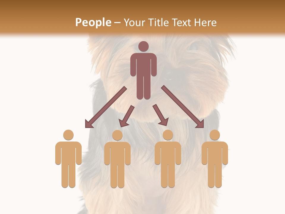 Canine Grooming Mini PowerPoint Template