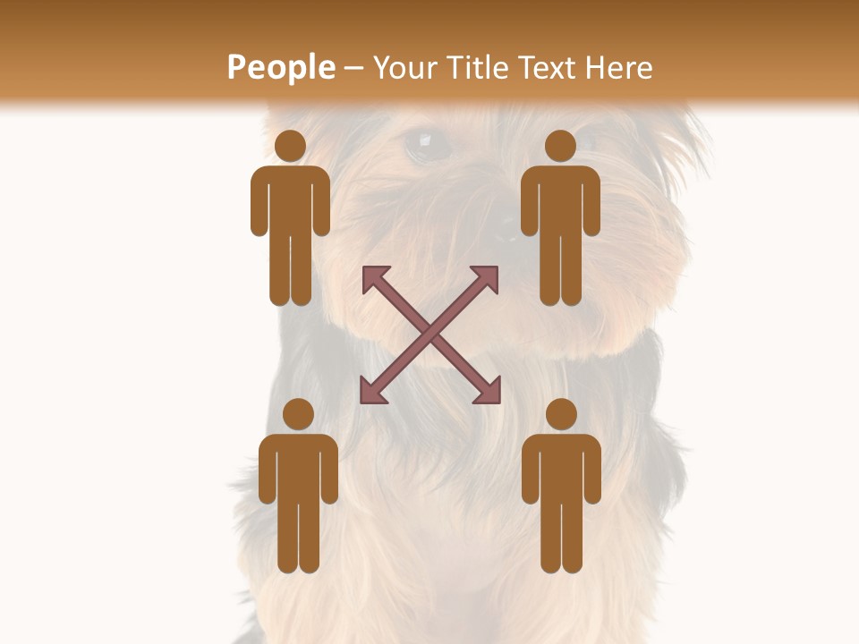Canine Grooming Mini PowerPoint Template