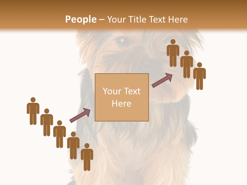 Canine Grooming Mini PowerPoint Template