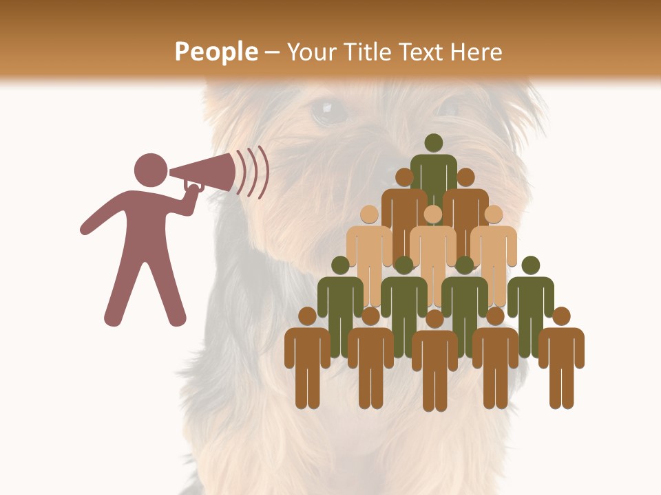 Canine Grooming Mini PowerPoint Template