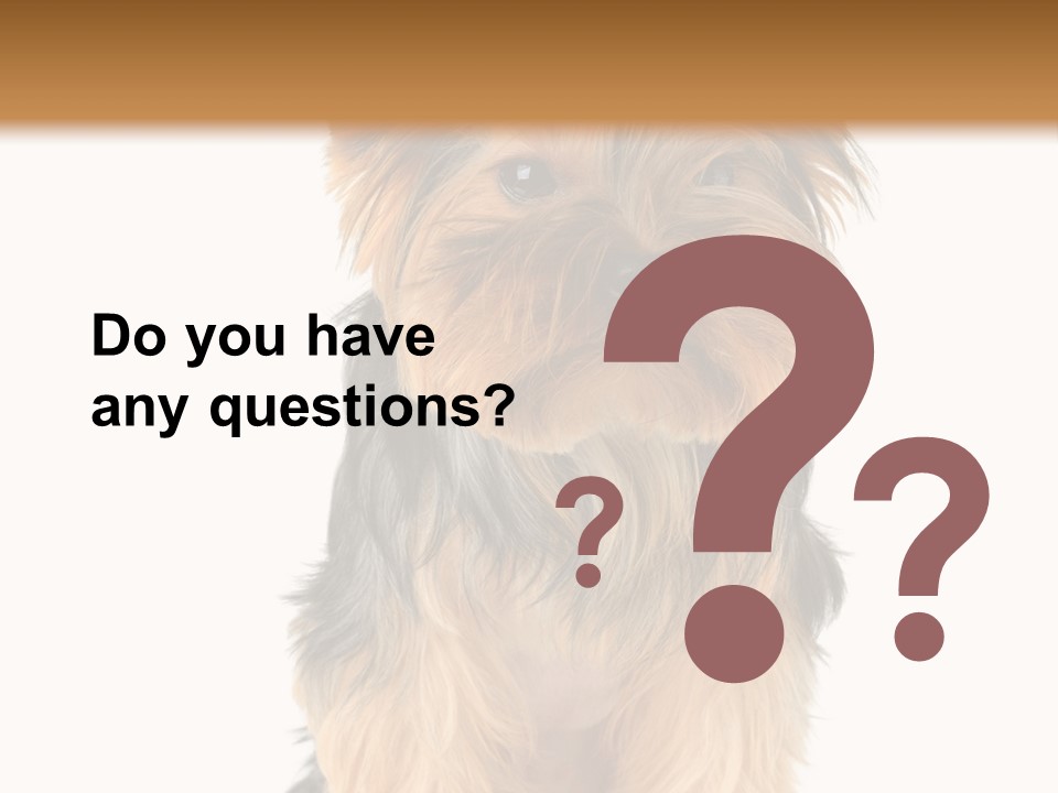 Canine Grooming Mini PowerPoint Template