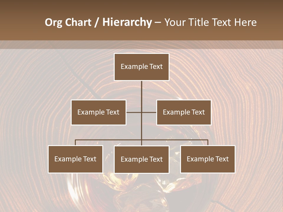 Rum Elegant Brown PowerPoint Template