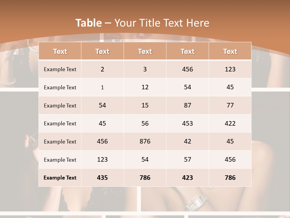 Board Room Figure PowerPoint Template