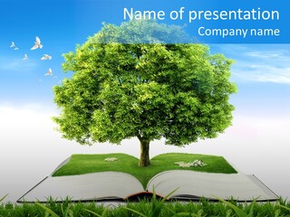 Interesting Fairy Tale Object PowerPoint Template