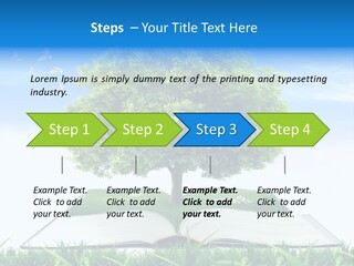 Interesting Fairy Tale Object PowerPoint Template