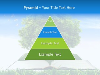 Interesting Fairy Tale Object PowerPoint Template
